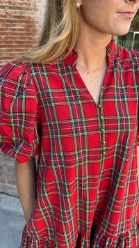 Hoilday Delight Mini Dress