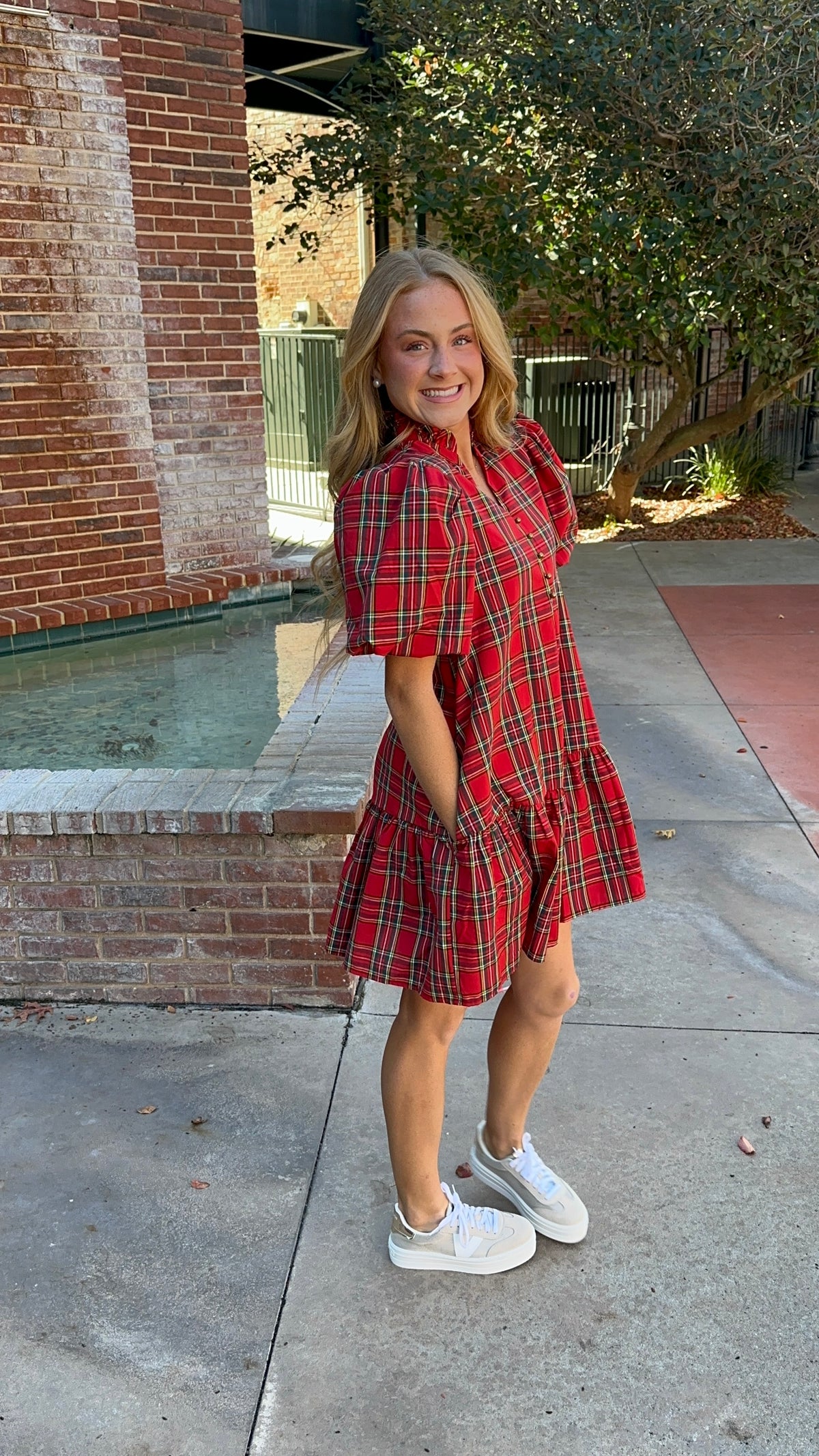 Hoilday Delight Mini Dress