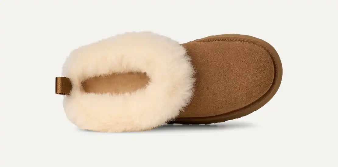 UGG Tazz in Chestnut