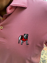Peter Millar JUBILEE STRIPE POLO UGA