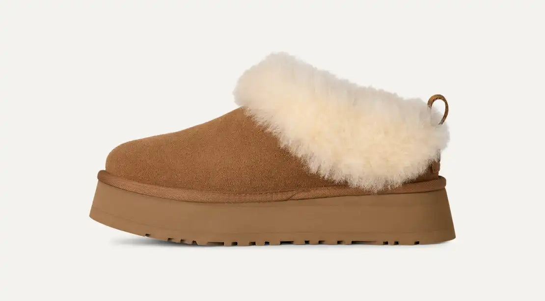 UGG Tazz in Chestnut