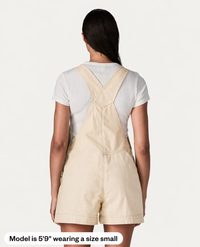 Patagonia Women's Stand Up Overallls
