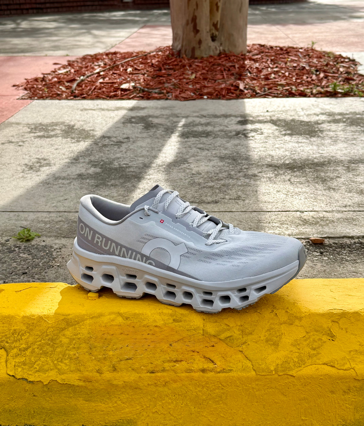 Mens On Cloud Monster 3 in Wolf