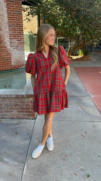 Hoilday Delight Mini Dress