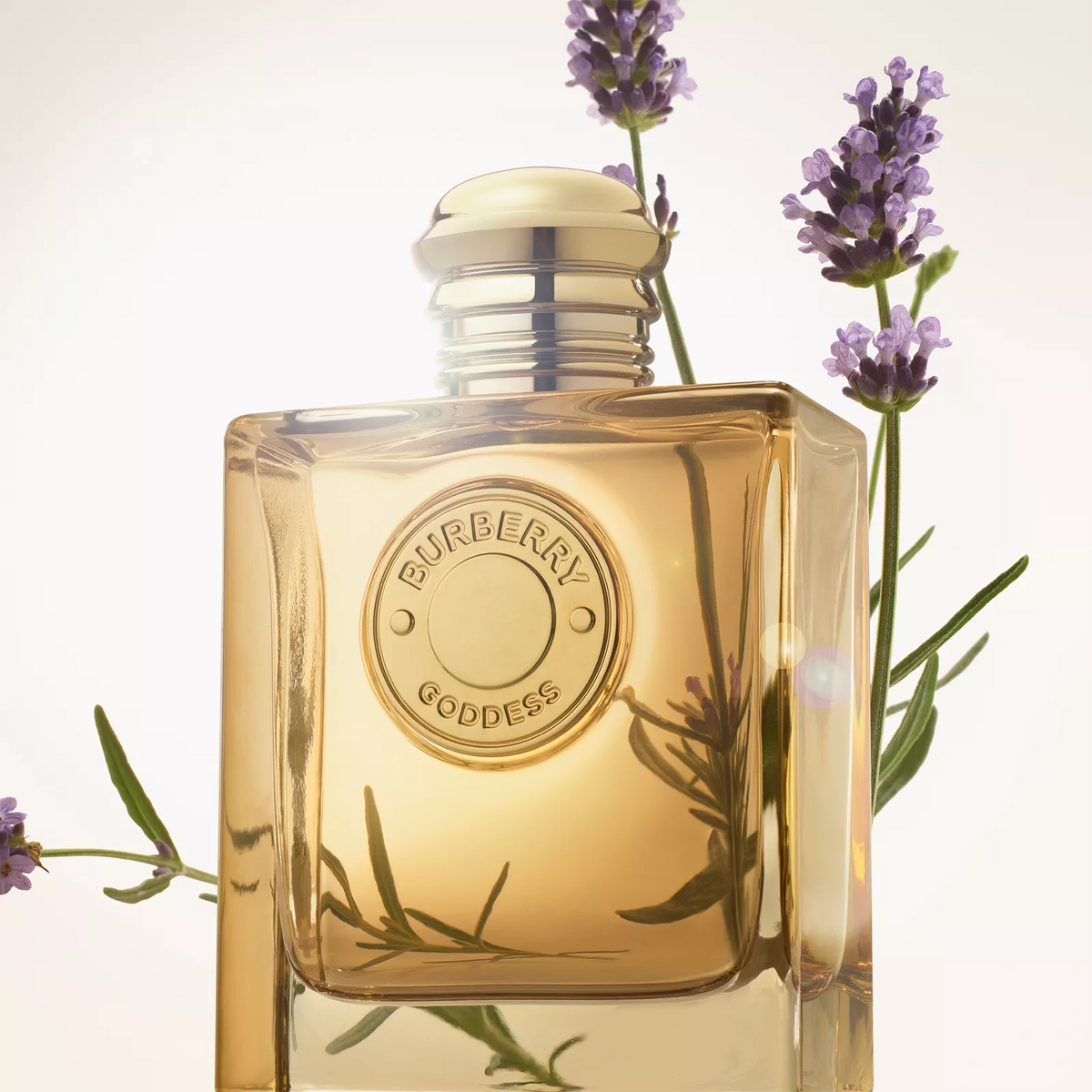 Burberry Goddess Intense 3.3 oz