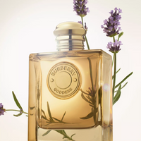 Burberry Goddess Intense 3.3 oz