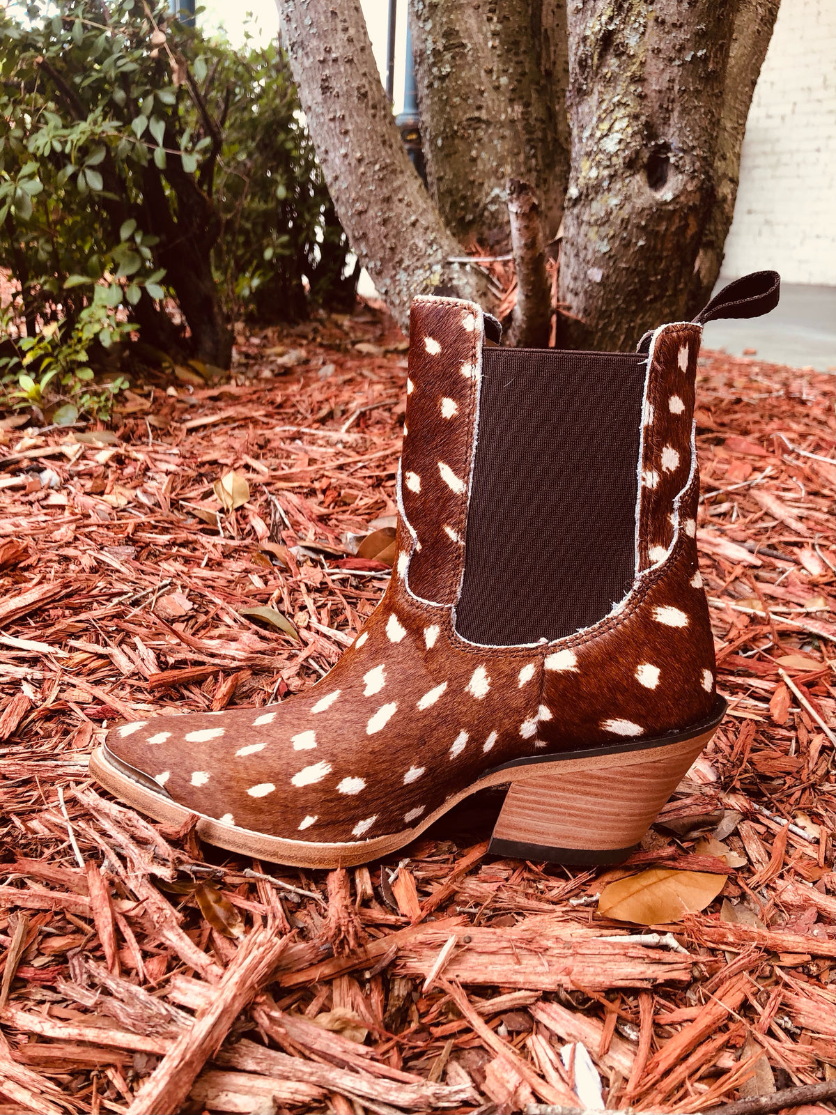 Ariat Shiloh Deer