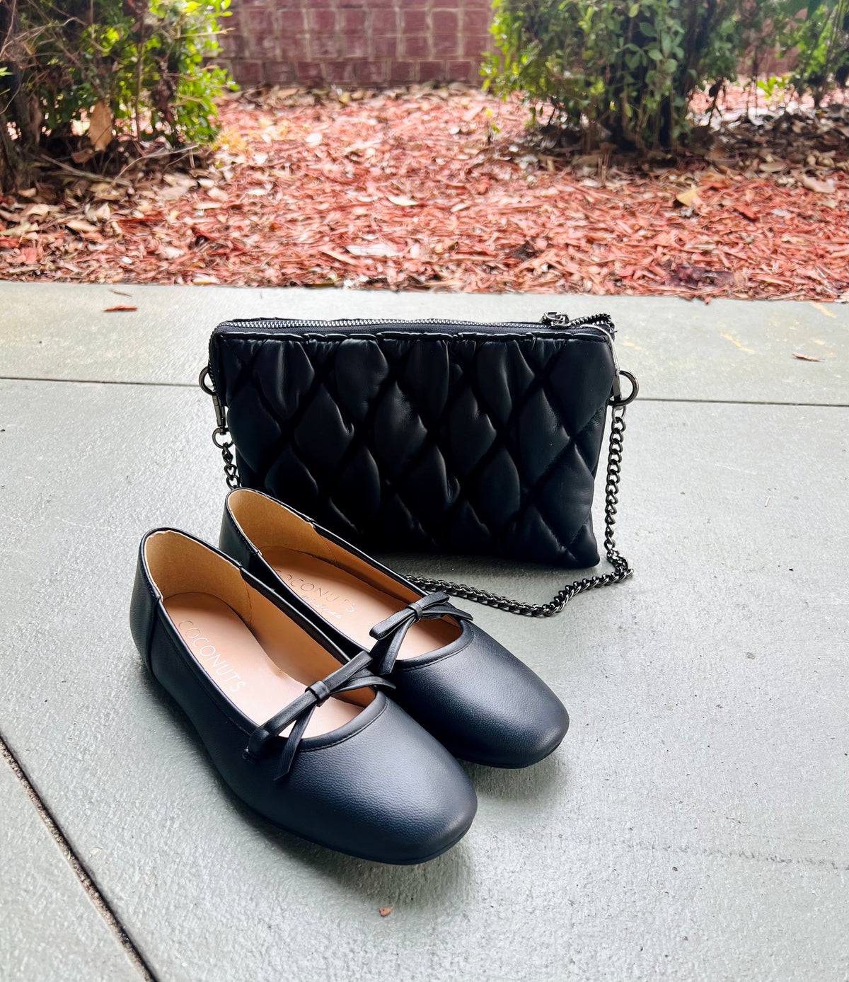 Coconuts Missy Black