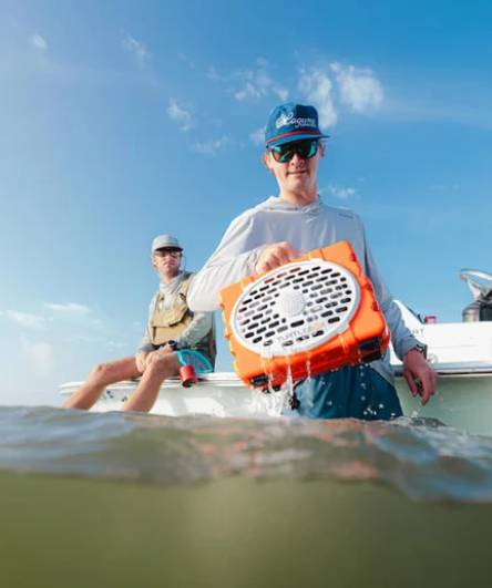 Turtlebox Gen 2 Speaker