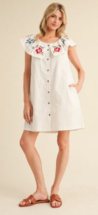 Fiesta Embroidered Mini Dress